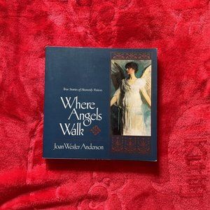 Where Angels Walk - Paperback By Anderson, Joan Wester Book